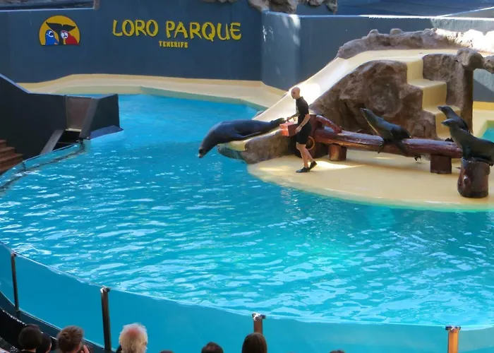 Ocean View 阿德耶