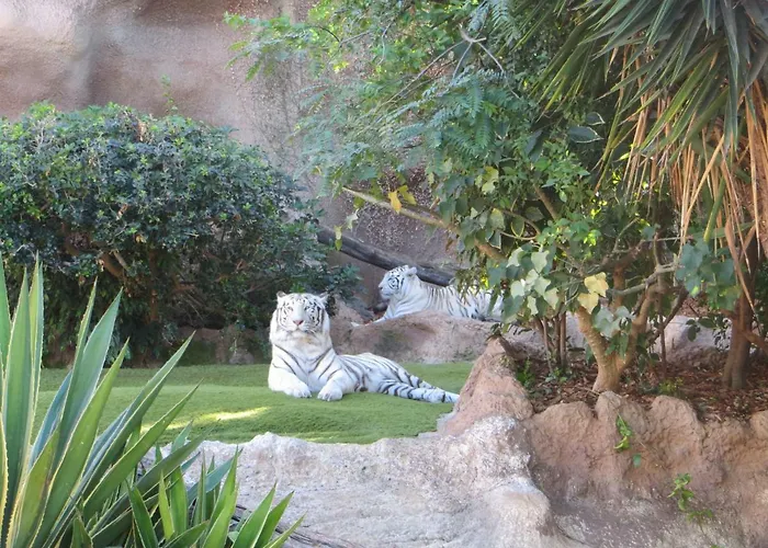 Apartament Ocean View *