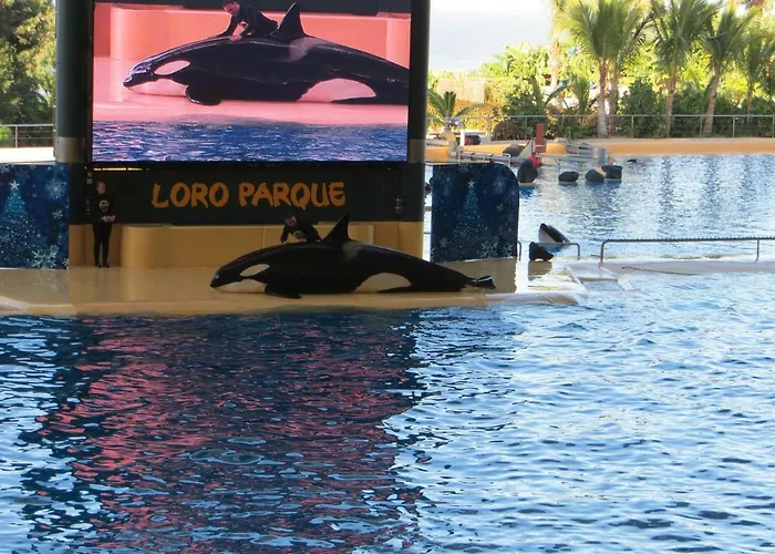 Apartament Ocean View *