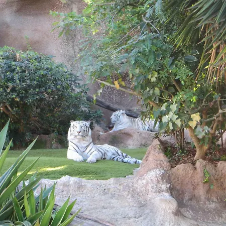 Apartmán Ocean View *